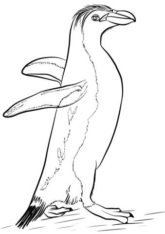 Royal Penguin Coloring Page